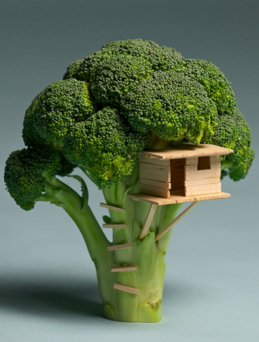 Casa din broccoli