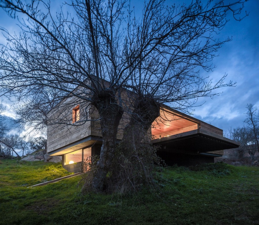 House-and-tree