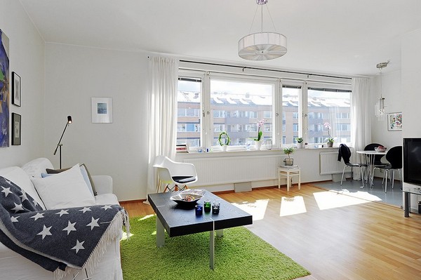 one-room-apartment-scandinavian1