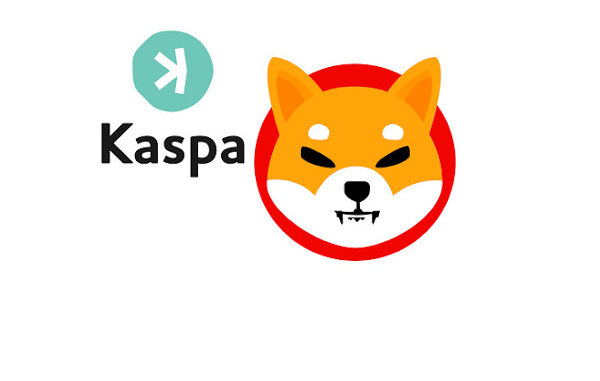 Kaspa shiba inu